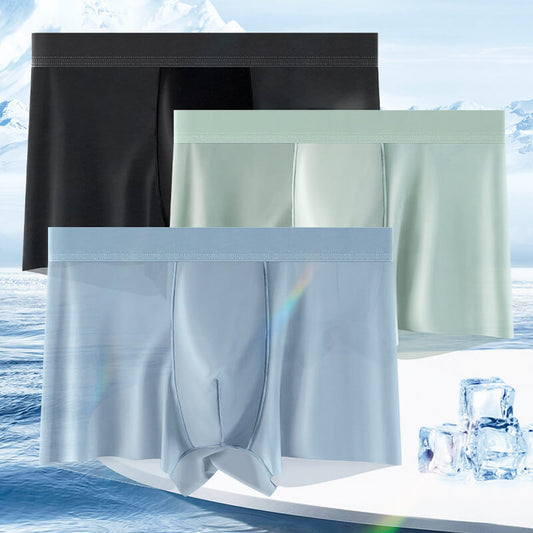 ❄️Men's Large Size Ice Silk Breathable Briefs