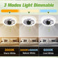 2-in-1 Mute Adjustable Fan Light with Remote Control