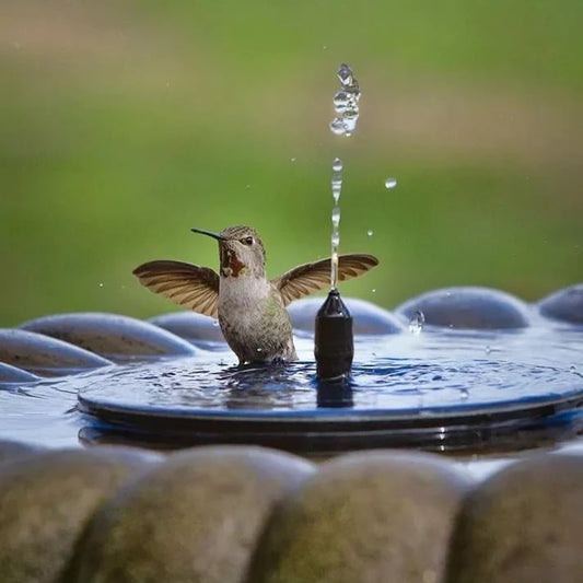 Compact Solar Bird Fountain Pump – Keep Your Garden Alive! 🐦️