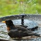 Compact Solar Bird Fountain Pump – Keep Your Garden Alive! 🐦️