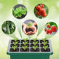 ⏰Limited offer 62% Discount🔥Seed Starter Trays with Grow Light
