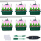 ⏰Limited offer 62% Discount🔥Seed Starter Trays with Grow Light