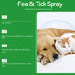 ⏳Limited-Time Offer: Buy 2 Get 1 FREE!✨️🌿The #1 Plant-Based Flea