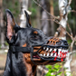 🎃 Halloween Dog Costume Muzzle – Funny Monster Mouth Pet Costume