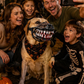 🎃 Halloween Dog Costume Muzzle – Funny Monster Mouth Pet Costume
