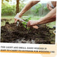 🔥Over 30K+ SOLD!!!🌿 Patio Weeder Tool – Easily Clear Weeds From Paving Gaps