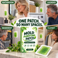 6 Pieces Mold Removal Patches for Household Walls Kitchen and Bathroom Mildew Purification Pads